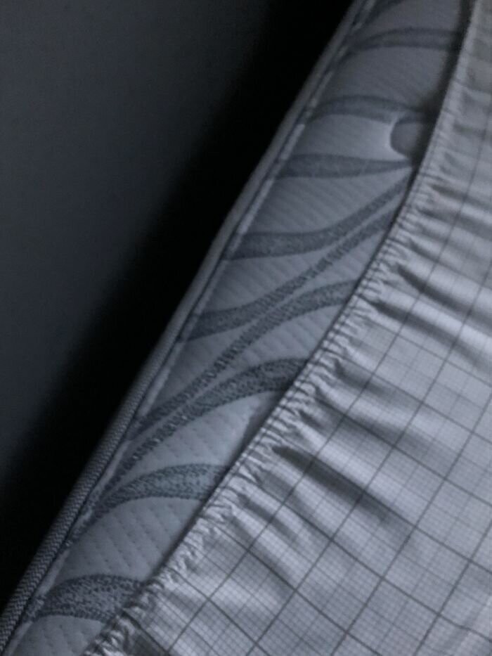 Нет-нет, только не это! (13 фото)