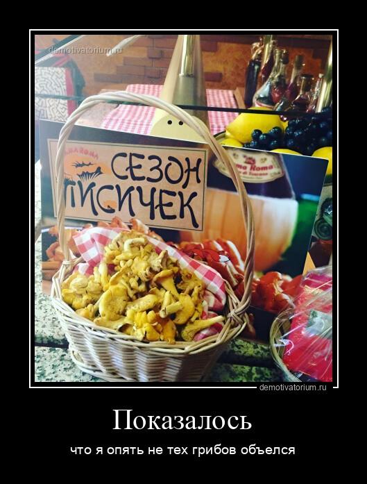 
			Демотиваторы №3004 (17 фото)