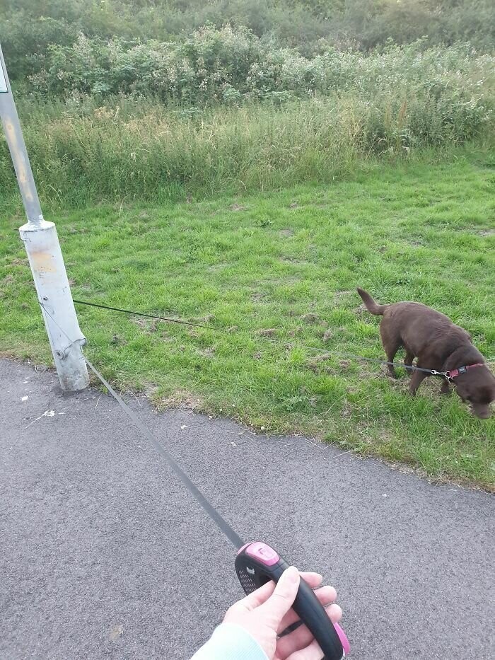 Нет-нет, только не это! (13 фото)