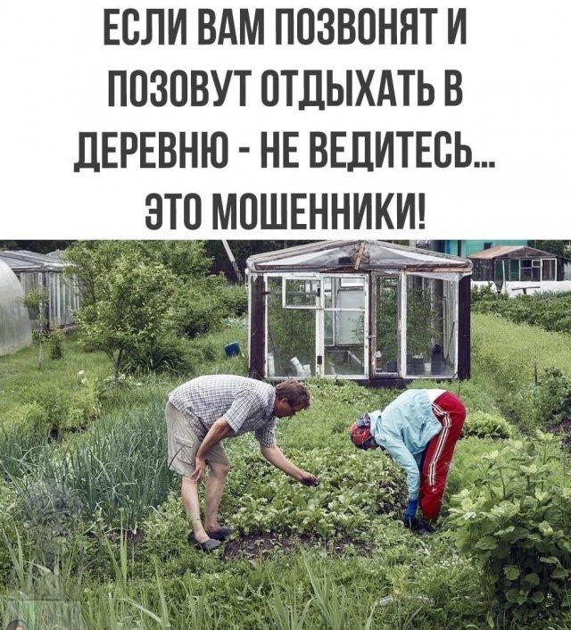 Лучшие шутки и мемы из Сети