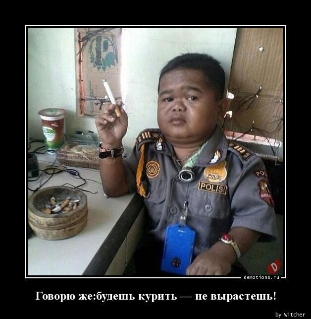 
			Демотиваторы №3004 (17 фото)