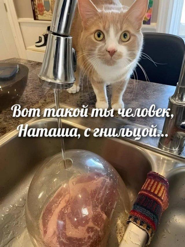 Лучшие шутки и мемы из Сети