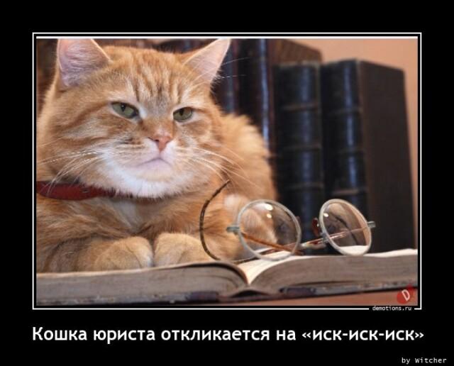 
			Демотиваторы №3006 (14 фото)