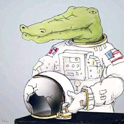 Какой была бы жизнь крокодилов в человеческом мире (23 фото)