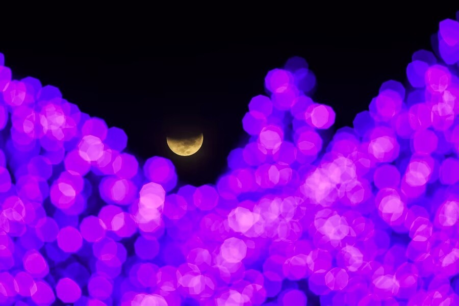 Фотографии полного лунного затмения 8 ноября 2022 года (14 фото)