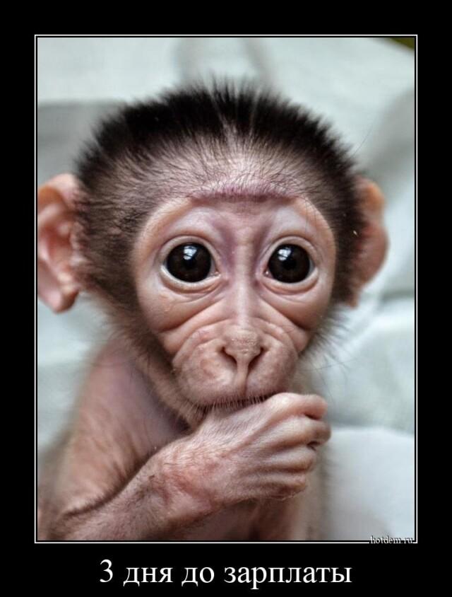 
			Демотиваторы №3004 (17 фото)