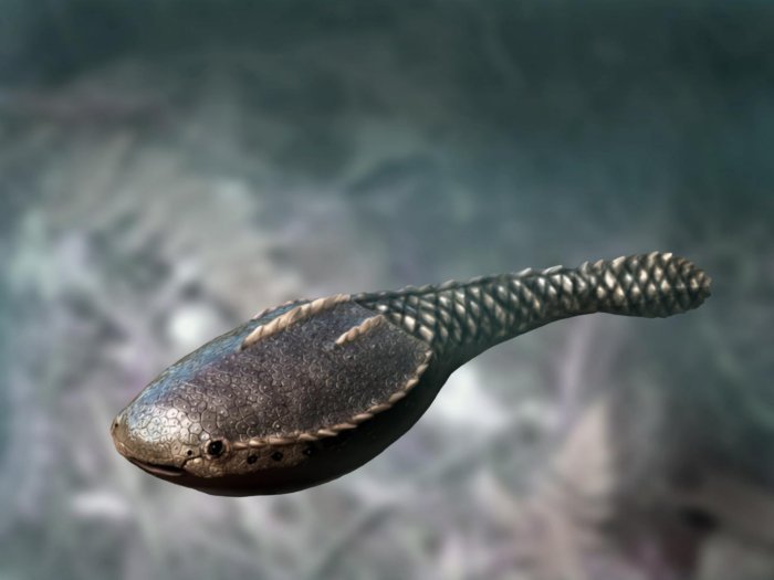 Присоски, которые зависли в прошлом. Миноги - уникальные животные, которые за 300 млн лет почти не изменились