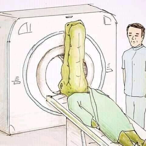 Какой была бы жизнь крокодилов в человеческом мире (23 фото)