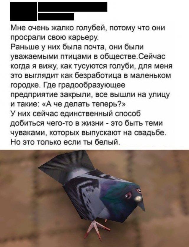 Лучшие шутки и мемы из Сети