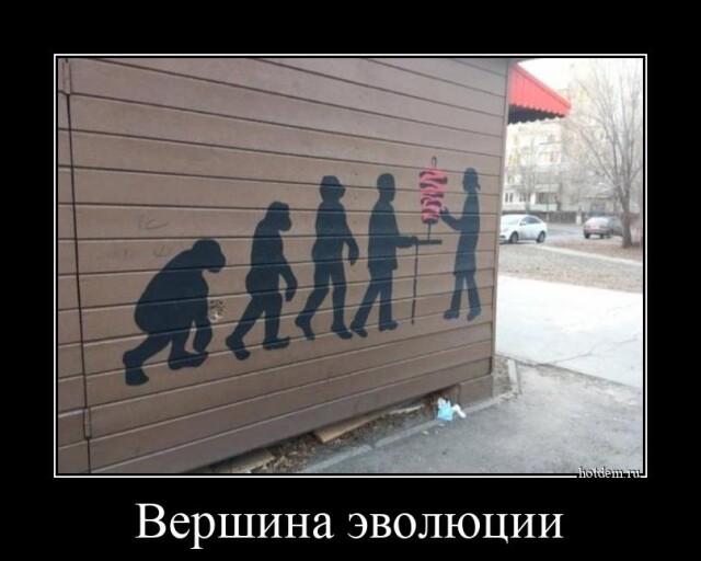 
			Демотиваторы №3004 (17 фото)