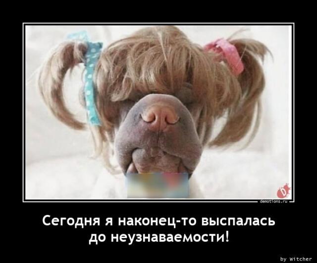 
			Демотиваторы №3006 (14 фото)