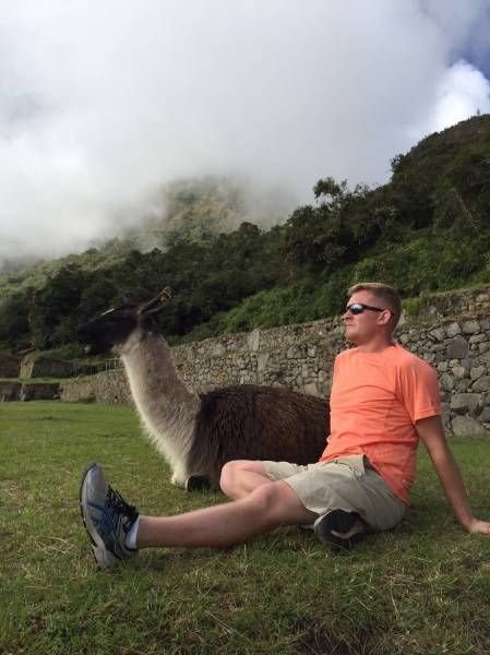 Так себе картинки