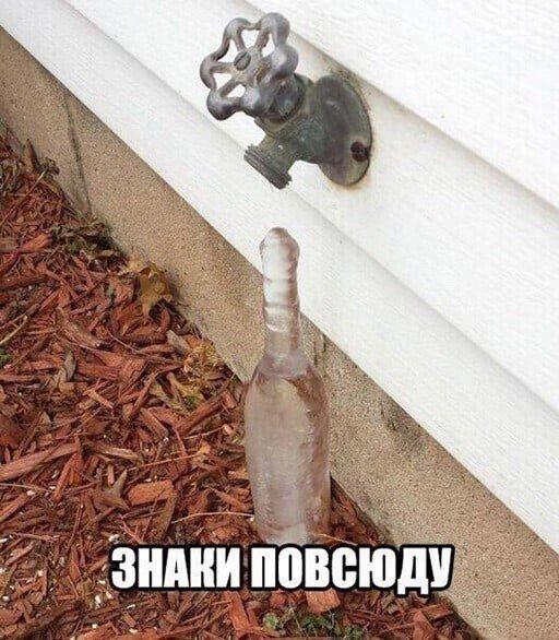 Шутки и мемы про алкоголь