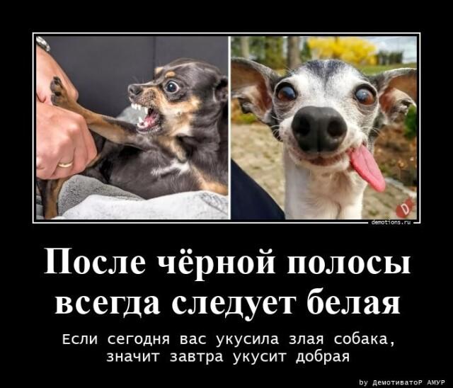 
			Демотиваторы №3006 (14 фото)