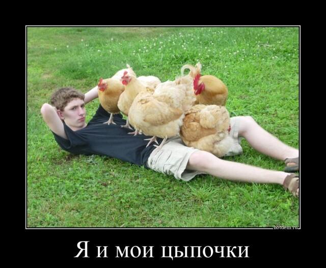 
			Демотиваторы №3004 (17 фото)