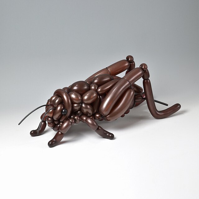 Скульптуры животных из воздушных шаров (16 фото) Скульптуры животных из воздушных шаров (16 фото)