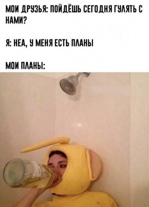 Шутки и мемы про алкоголь