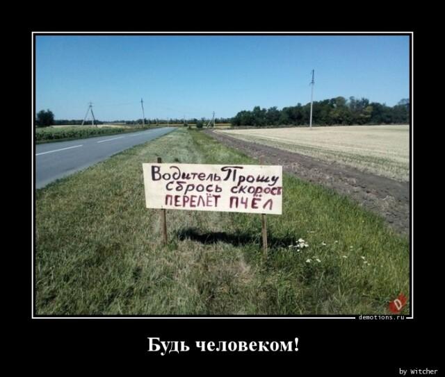 
			Демотиваторы №3004 (17 фото)