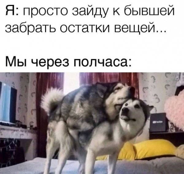 Немного слегка пошлых картинок с надписями