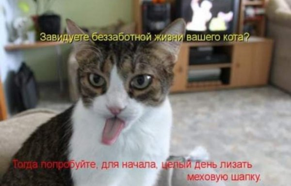 Немного картинок для настроения