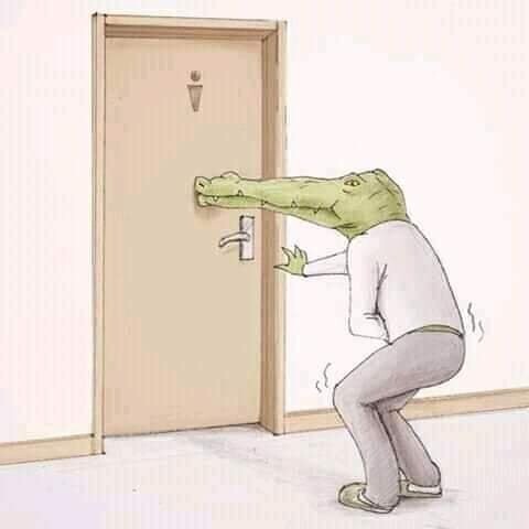 Какой была бы жизнь крокодилов в человеческом мире (23 фото)