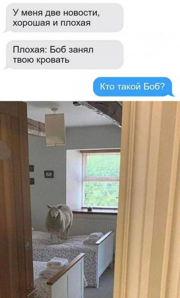 Лучшие шутки и мемы из Сети