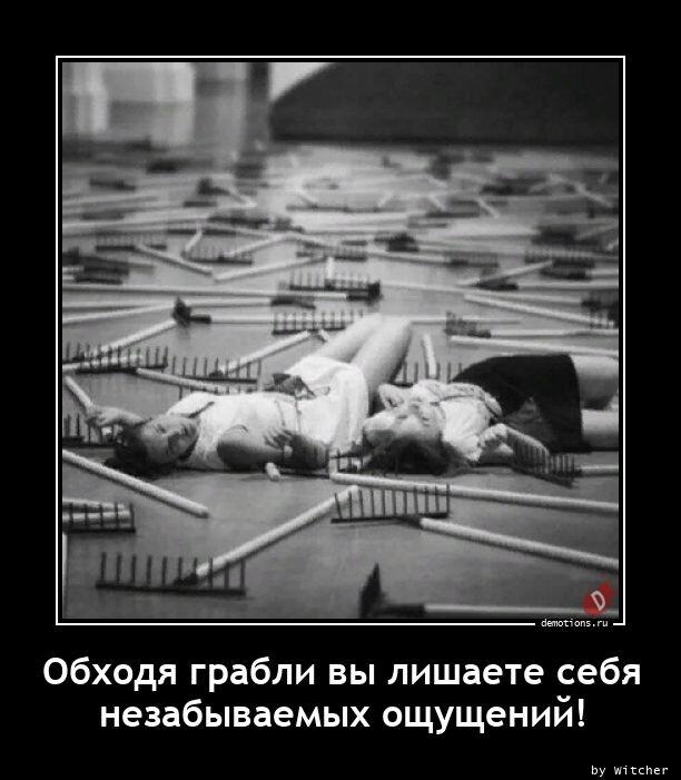 
			Демотиваторы №3006 (14 фото)