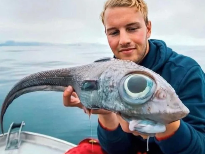 Химера: воплощение кошмара — кровь становится ядом в венах